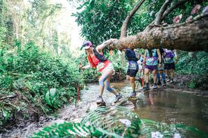 BIB: 
                            <button type="button" onclick="openModal(25476823)" class="btn btn-primary btn-sm float-right btn-popup" data-toggle="modal" data-target=".modal-high-quality">
                        <i class="fas fa-shopping-cart"></i> Add to Cart
                    </button>
                                            <button type="button" onclick="isThisMe(25476823, true)" class="btn btn-success btn-sm float-right btn-popup btn-isme hidden" data-toggle="tooltip" data-placement="bottom" title="นี่คือรูปของคุณใช่ไหม คลิกที่นี่เพื่อเอาเข้าอัลบั้ม">
                        <i class="fas fa-plus"></i> Add to album
                    </button>
                    <button type="button" onclick="isThisMe(25476823, false)" class="btn btn-warning btn-sm float-right btn-popup btn-isnotme hidden">
                        <i class="fas fa-ban"></i> Remove from album
                    </button>